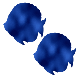 Metallic Blue Sunfish