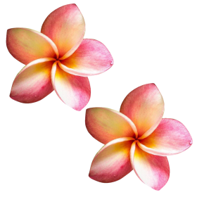 Coral Plumeria Flower